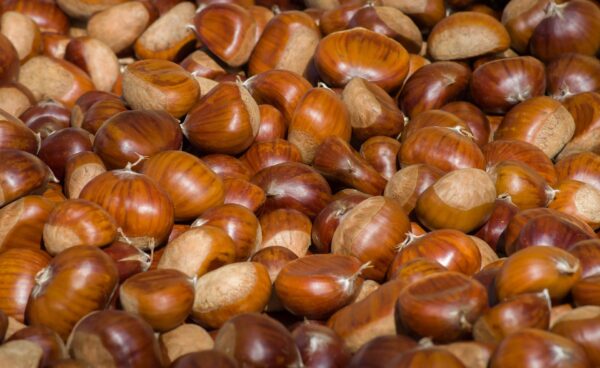 Galetes de castanya amb xocolata